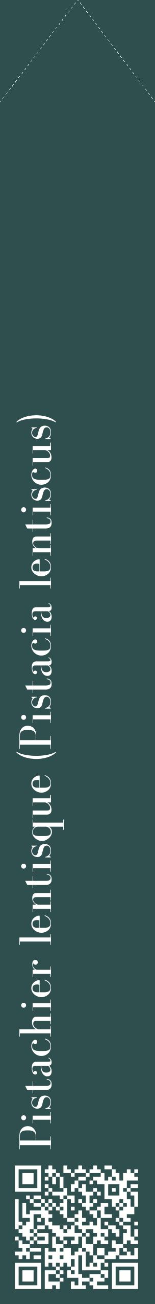 Étiquette de : Pistacia lentiscus - format c - style blanche58_simplebod avec qrcode et comestibilité