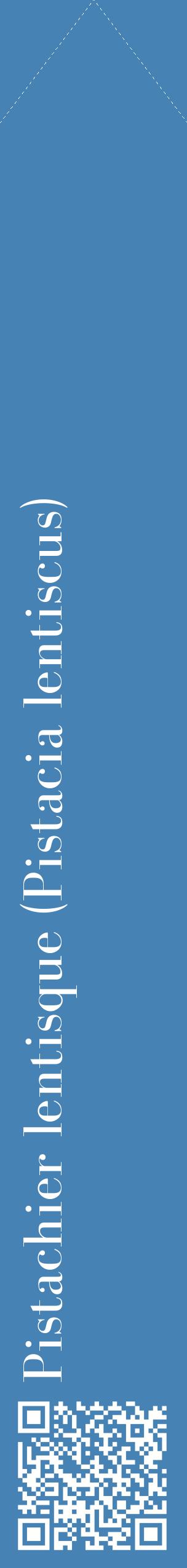 Étiquette de : Pistacia lentiscus - format c - style blanche5_simplebod avec qrcode et comestibilité