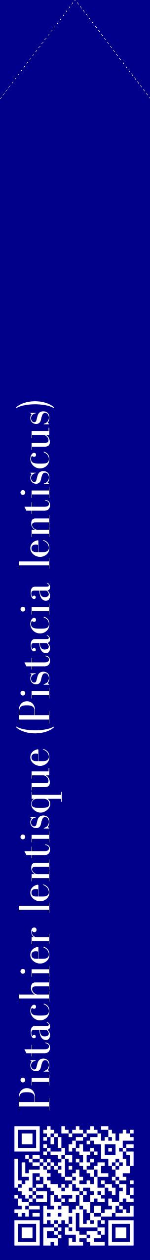 Étiquette de : Pistacia lentiscus - format c - style blanche7_simplebod avec qrcode et comestibilité
