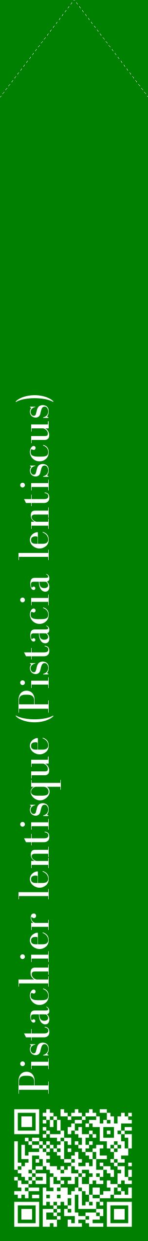 Étiquette de : Pistacia lentiscus - format c - style blanche9_simplebod avec qrcode et comestibilité