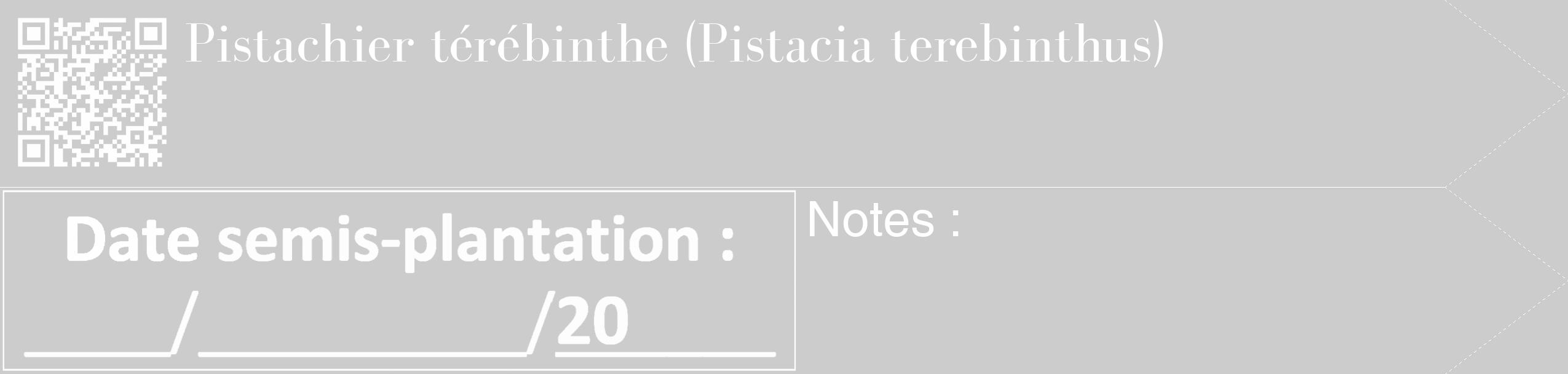 Étiquette de : Pistacia terebinthus - format c - style blanche0_simple_simplebod avec qrcode et comestibilité