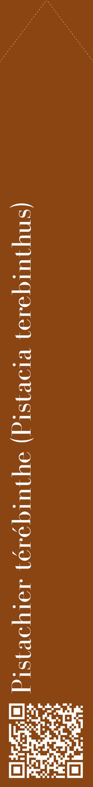 Étiquette de : Pistacia terebinthus - format c - style blanche30_simplebod avec qrcode et comestibilité
