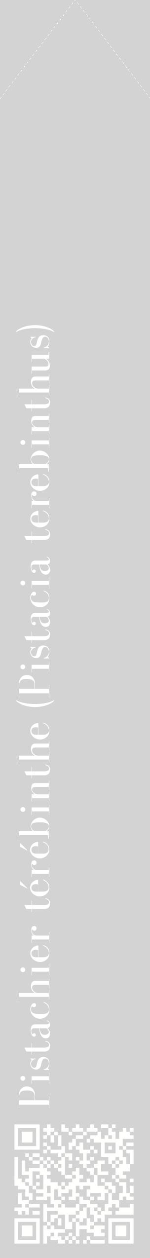 Étiquette de : Pistacia terebinthus - format c - style blanche56_simplebod avec qrcode et comestibilité