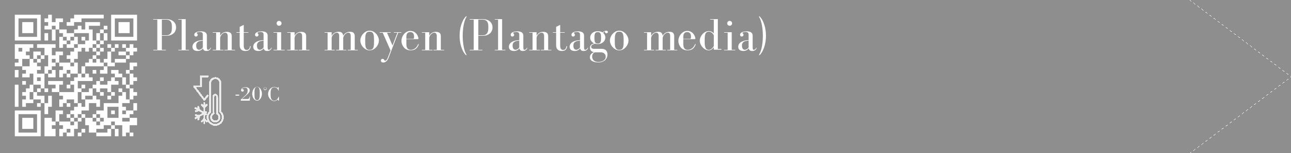 Étiquette de : Plantago media - format c - style blanche25_simple_simplebod avec qrcode et comestibilité