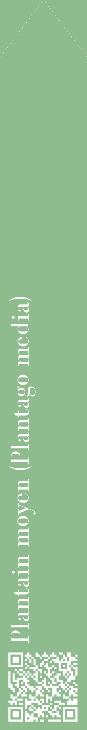 Étiquette de : Plantago media - format c - style blanche13_simplebod avec qrcode et comestibilité