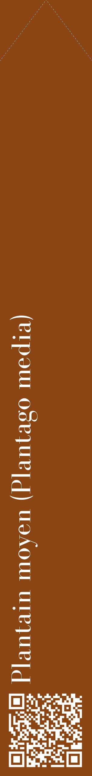 Étiquette de : Plantago media - format c - style blanche30_simplebod avec qrcode et comestibilité