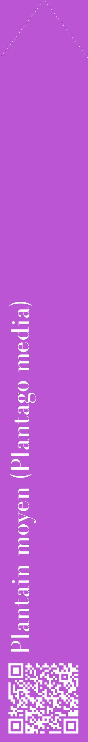 Étiquette de : Plantago media - format c - style blanche50_simplebod avec qrcode et comestibilité