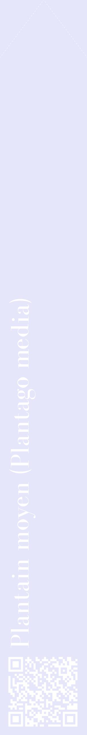 Étiquette de : Plantago media - format c - style blanche55_simplebod avec qrcode et comestibilité