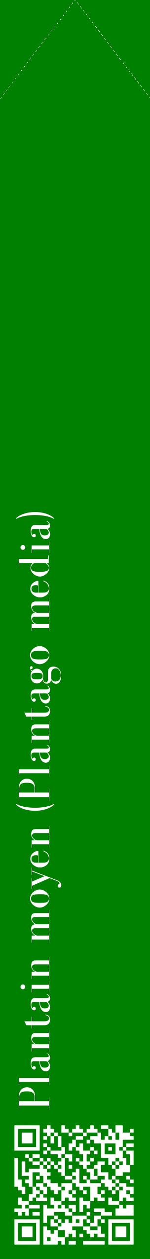 Étiquette de : Plantago media - format c - style blanche9_simplebod avec qrcode et comestibilité