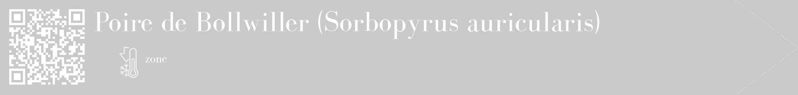 Étiquette de : Sorbopyrus auricularis - format c - style blanche54_simple_simplebod avec qrcode et comestibilité