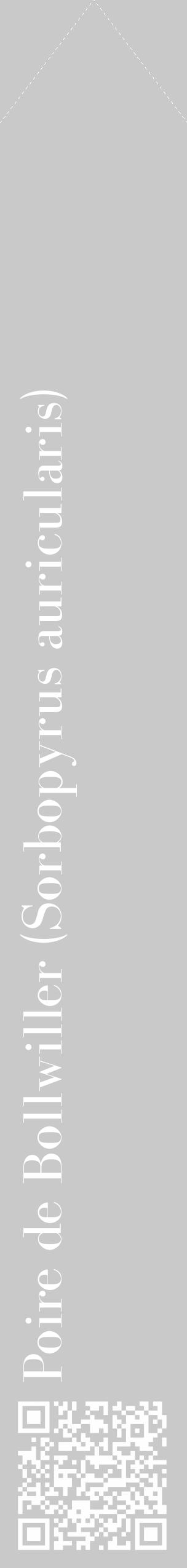 Étiquette de : Sorbopyrus auricularis - format c - style blanche54_simple_simplebod avec qrcode et comestibilité - position verticale