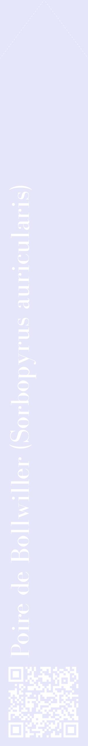 Étiquette de : Sorbopyrus auricularis - format c - style blanche55_simplebod avec qrcode et comestibilité