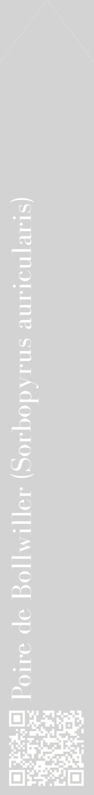 Étiquette de : Sorbopyrus auricularis - format c - style blanche56_simplebod avec qrcode et comestibilité