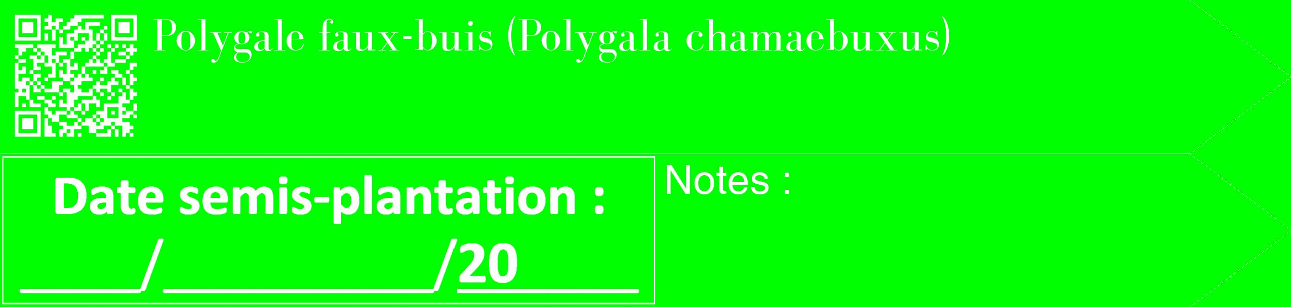 Étiquette de : Polygala chamaebuxus - format c - style blanche16_simple_simplebod avec qrcode et comestibilité