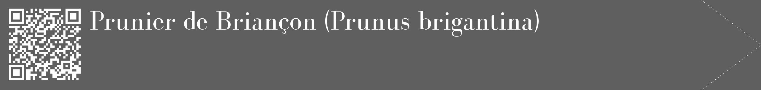Étiquette de : Prunus brigantina - format c - style blanche10_simple_simplebod avec qrcode et comestibilité