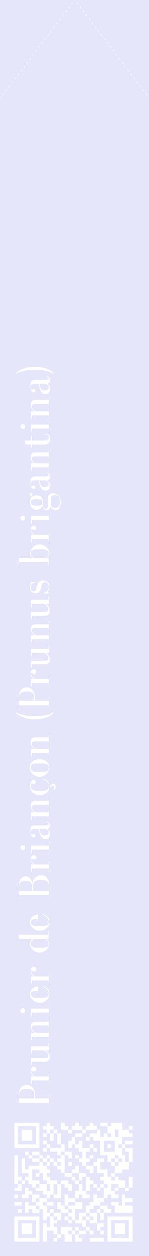 Étiquette de : Prunus brigantina - format c - style blanche55_simplebod avec qrcode et comestibilité