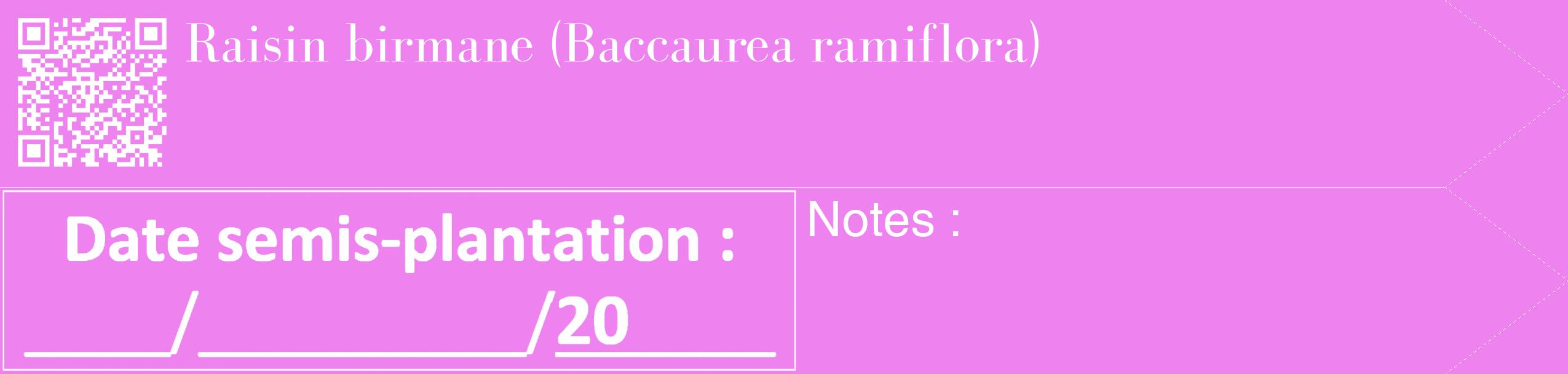 Étiquette de : Baccaurea ramiflora - format c - style blanche53_simple_simplebod avec qrcode et comestibilité