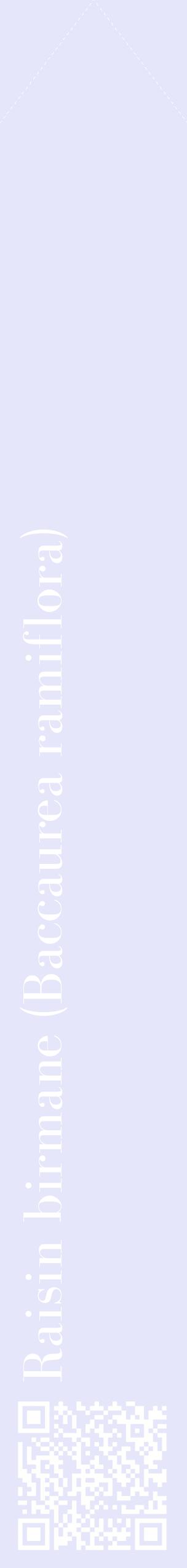 Étiquette de : Baccaurea ramiflora - format c - style blanche55_simplebod avec qrcode et comestibilité