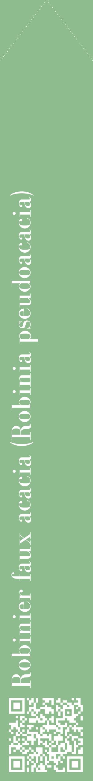 Étiquette de : Robinia pseudoacacia - format c - style blanche13_simplebod avec qrcode et comestibilité