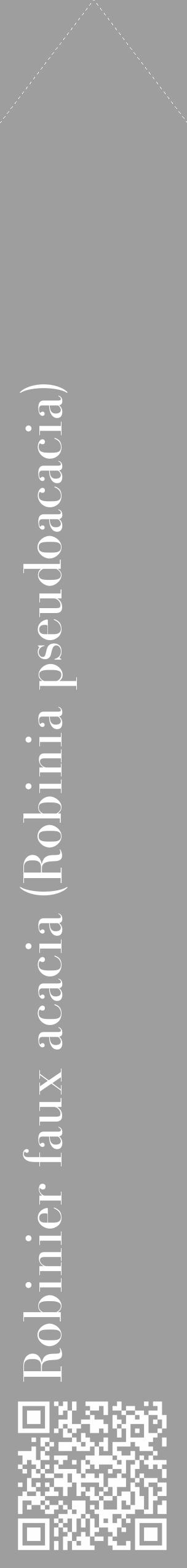 Étiquette de : Robinia pseudoacacia - format c - style blanche23_simple_simplebod avec qrcode et comestibilité - position verticale
