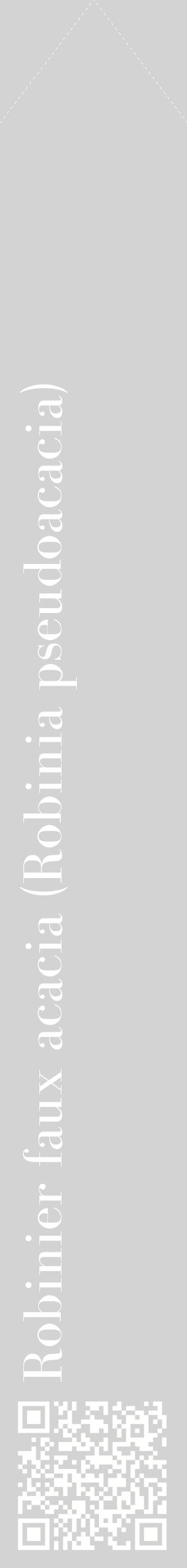 Étiquette de : Robinia pseudoacacia - format c - style blanche56_simplebod avec qrcode et comestibilité