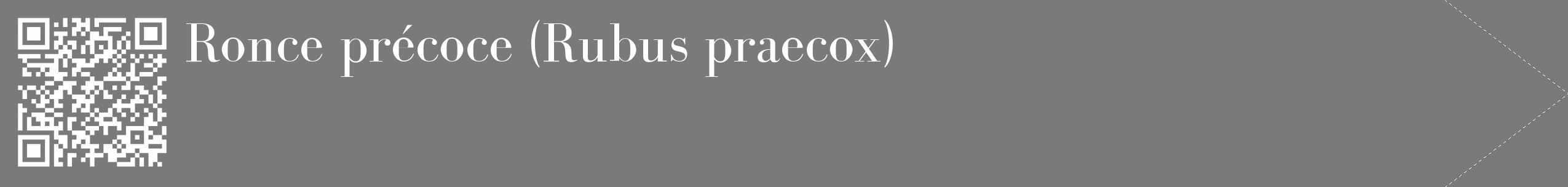 Étiquette de : Rubus praecox - format c - style blanche3_simple_simplebod avec qrcode et comestibilité