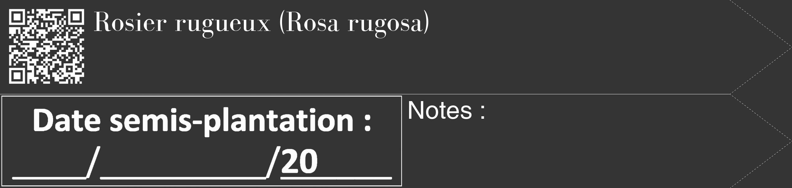 Étiquette de : Rosa rugosa - format c - style blanche46_simple_simplebod avec qrcode et comestibilité