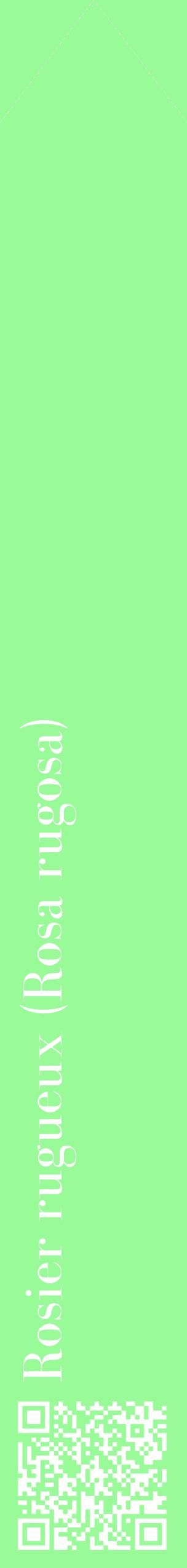 Étiquette de : Rosa rugosa - format c - style blanche14_simplebod avec qrcode et comestibilité
