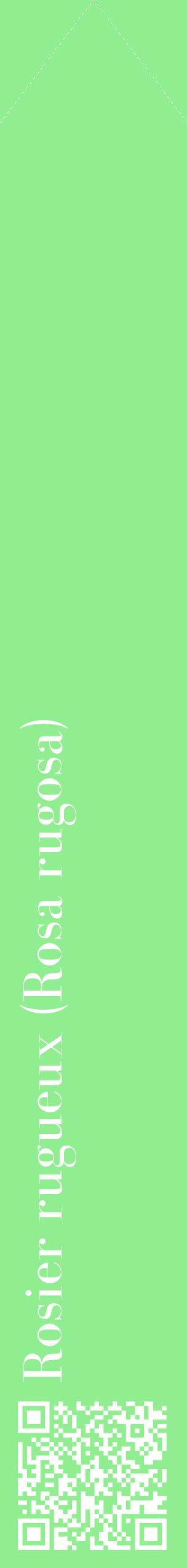 Étiquette de : Rosa rugosa - format c - style blanche15_simplebod avec qrcode et comestibilité