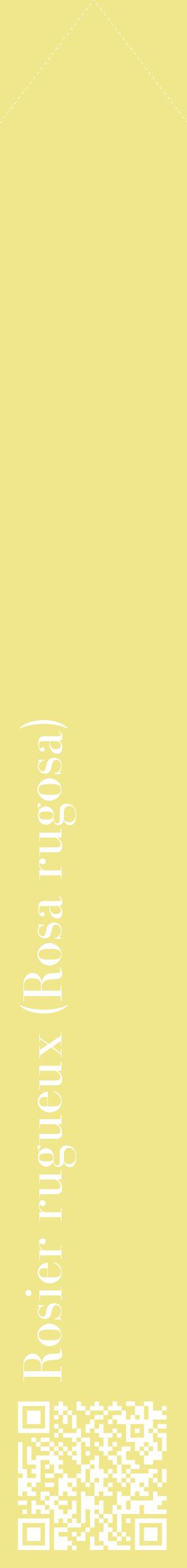 Étiquette de : Rosa rugosa - format c - style blanche20_simplebod avec qrcode et comestibilité