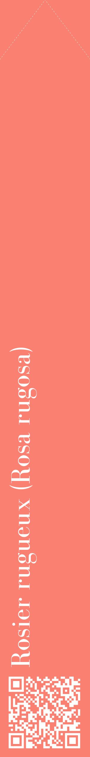 Étiquette de : Rosa rugosa - format c - style blanche38_simplebod avec qrcode et comestibilité