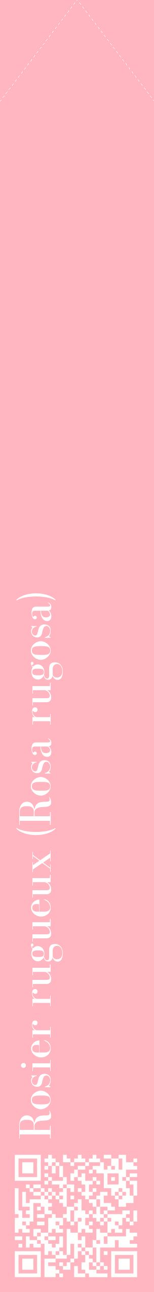 Étiquette de : Rosa rugosa - format c - style blanche41_simplebod avec qrcode et comestibilité