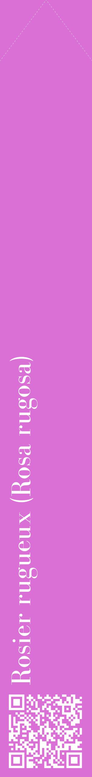 Étiquette de : Rosa rugosa - format c - style blanche52_simplebod avec qrcode et comestibilité