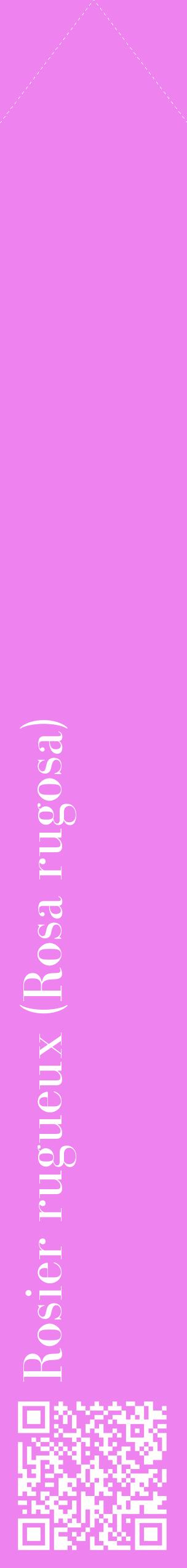 Étiquette de : Rosa rugosa - format c - style blanche53_simplebod avec qrcode et comestibilité