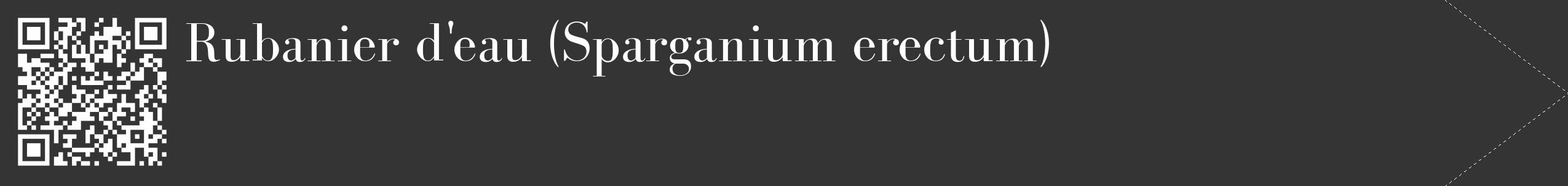 Étiquette de : Sparganium erectum - format c - style blanche46_simple_simplebod avec qrcode et comestibilité