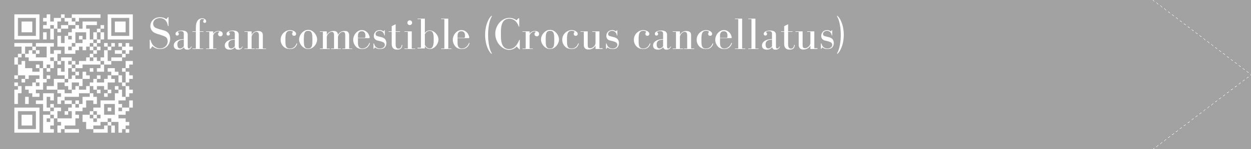 Étiquette de : Crocus cancellatus - format c - style blanche38_simple_simplebod avec qrcode et comestibilité