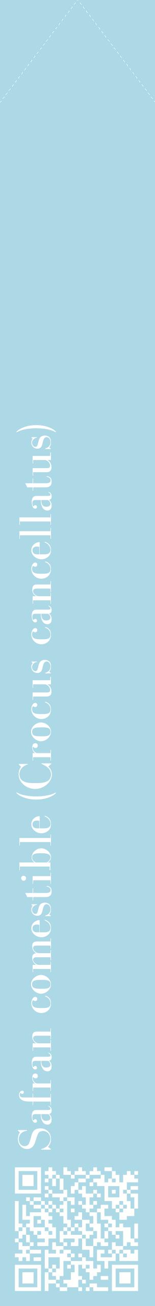 Étiquette de : Crocus cancellatus - format c - style blanche0_simplebod avec qrcode et comestibilité