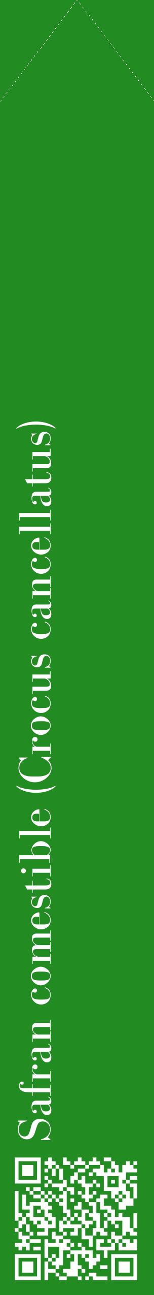 Étiquette de : Crocus cancellatus - format c - style blanche10_simplebod avec qrcode et comestibilité