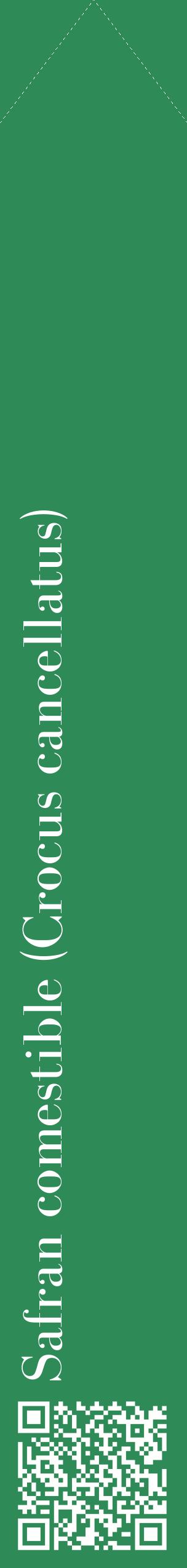 Étiquette de : Crocus cancellatus - format c - style blanche11_simplebod avec qrcode et comestibilité