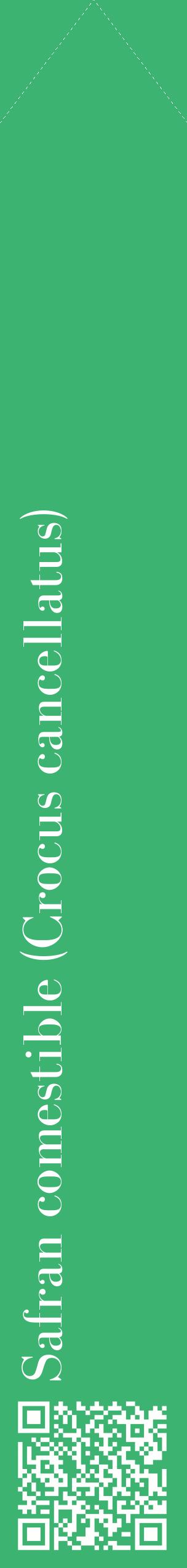 Étiquette de : Crocus cancellatus - format c - style blanche12_simplebod avec qrcode et comestibilité
