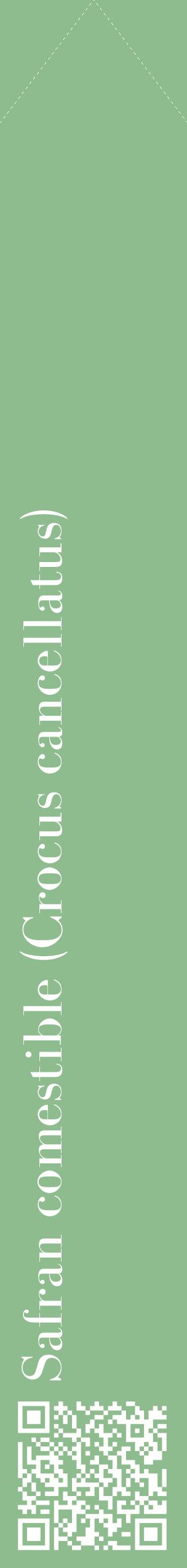 Étiquette de : Crocus cancellatus - format c - style blanche13_simplebod avec qrcode et comestibilité