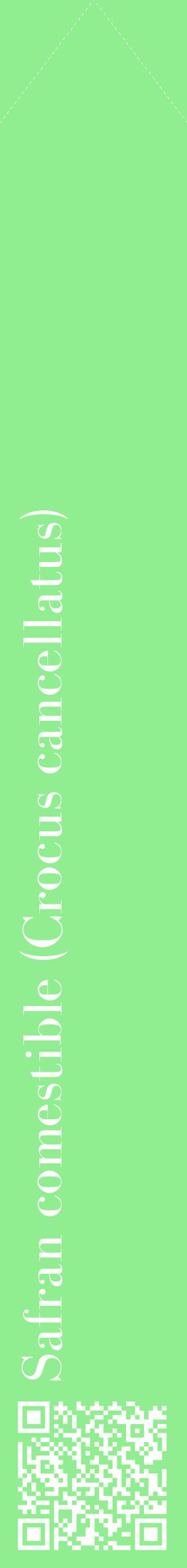 Étiquette de : Crocus cancellatus - format c - style blanche15_simplebod avec qrcode et comestibilité