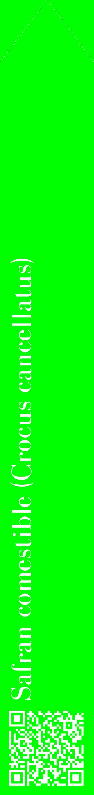 Étiquette de : Crocus cancellatus - format c - style blanche16_simplebod avec qrcode et comestibilité