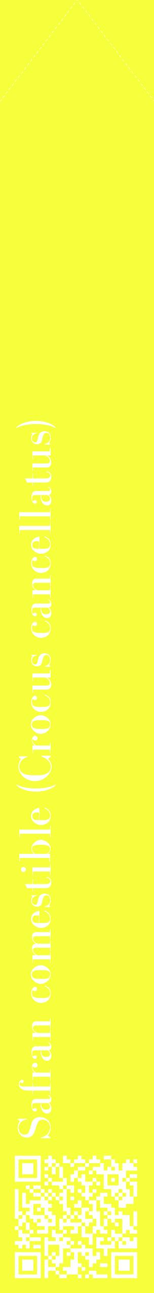 Étiquette de : Crocus cancellatus - format c - style blanche18_simplebod avec qrcode et comestibilité