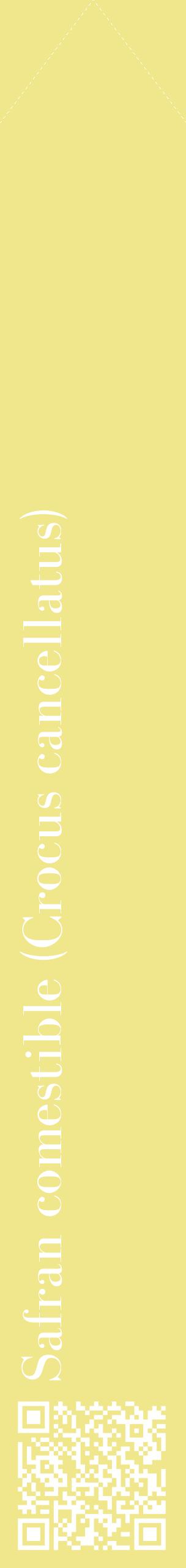 Étiquette de : Crocus cancellatus - format c - style blanche20_simplebod avec qrcode et comestibilité