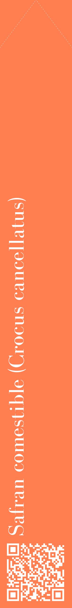 Étiquette de : Crocus cancellatus - format c - style blanche24_simplebod avec qrcode et comestibilité