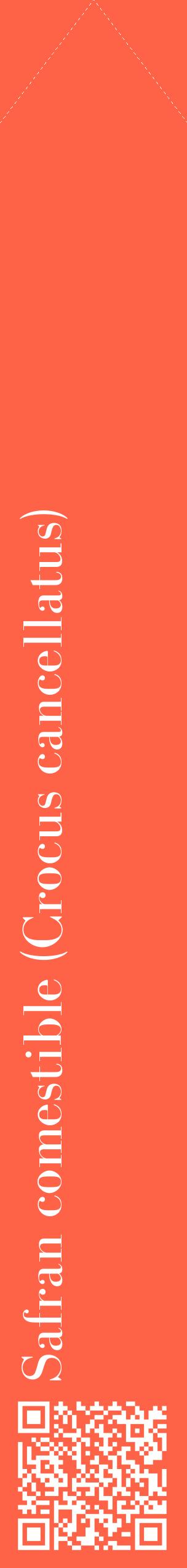 Étiquette de : Crocus cancellatus - format c - style blanche25_simplebod avec qrcode et comestibilité