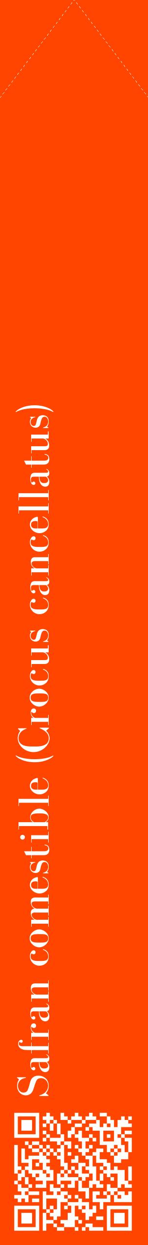 Étiquette de : Crocus cancellatus - format c - style blanche26_simplebod avec qrcode et comestibilité