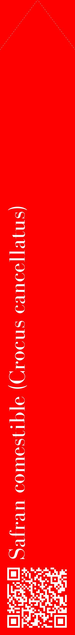 Étiquette de : Crocus cancellatus - format c - style blanche27_simplebod avec qrcode et comestibilité