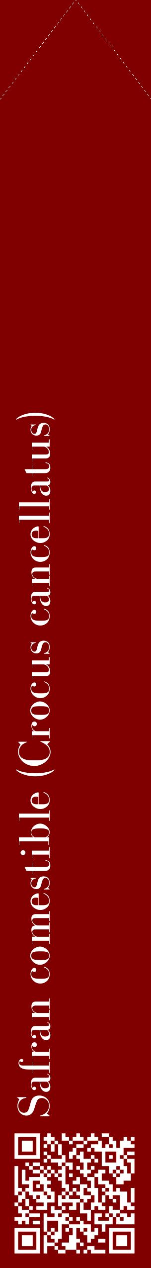 Étiquette de : Crocus cancellatus - format c - style blanche29_simplebod avec qrcode et comestibilité